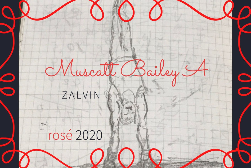 2020 ZalVin Muscat Baily A Rose